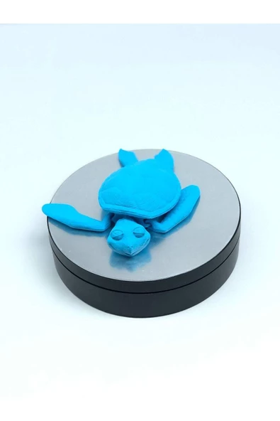 3d Hareketli Kaplumbağa Figürlü Oyuncak - Mavi - Resim 2
