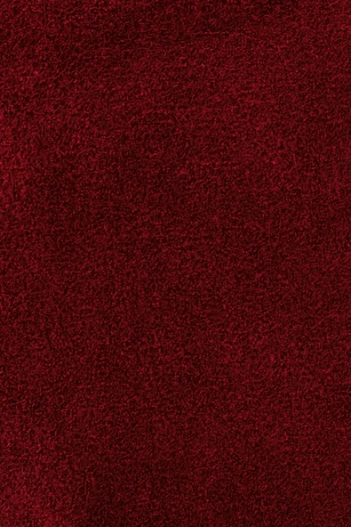 Loft 2038227 Bordo Kadın Yarım Boğazlı Kısa Bel Bluz - 5