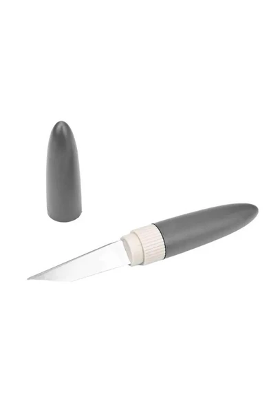 Plastik Kapaklı Metal Bıçaklı Meyve Sebze Soyacağı Soyacak Soyma Aparatı - 2