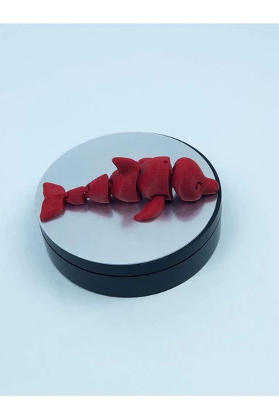 3d Hareketli Yunus Figürlü Oyuncak - Kırmızı - Resim 4