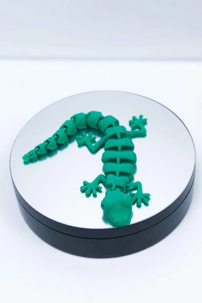 3d Hareketli Oyuncak Kertenkele - Yeşil - Resim 4