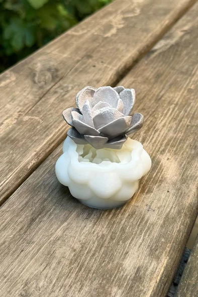 Kaktüs 6 Silikon Mum Kalıbı - Resim 3