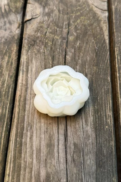 Kaktüs 6 Silikon Mum Kalıbı - Resim 5