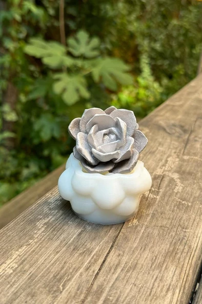 Kaktüs 6 Silikon Mum Kalıbı - Resim 2