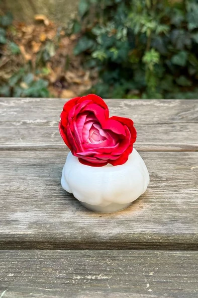 Kaktüs 8 Silikon Mum Kalıbı - 3