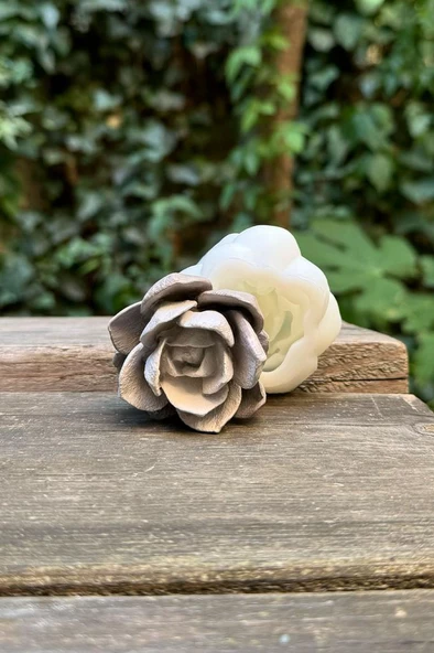 Kaktüs 6 Silikon Mum Kalıbı ürün görseli