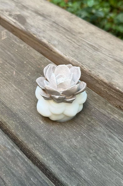 Kaktüs 6 Silikon Mum Kalıbı - Resim 4