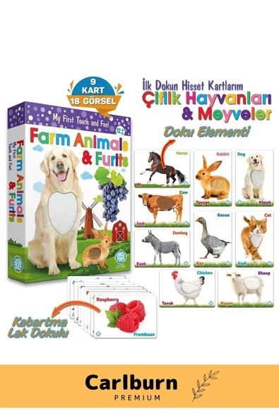 Özel Üretim Görsel Algı Eğlenceli Öğrenme Eğlenceli Dokun Hisset Çiftlik Hayvanları ve Meyveler - 2