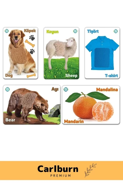 Özel Üretim Duyusal Gelişim Görsel Algı Eğlenceli Öğrenme Çocuk Dokun Hisset Tanı Eğitim Kartları - 2