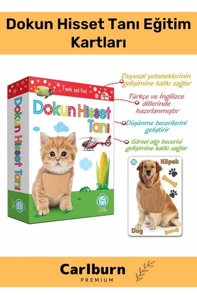 Özel Üretim Duyusal Gelişim Görsel Algı Eğlenceli Öğrenme Çocuk Dokun Hisset Tanı Eğitim Kartları