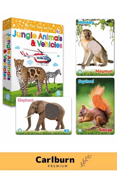Özel Üretim Görsel Algı Eğlenceli Öğrenme Hisset Orman Hayvanları Ve Araçlar Eğitim Kartları - 2