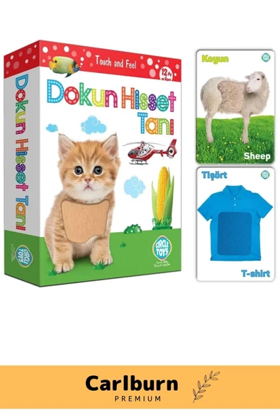 Özel Üretim Duyusal Gelişim Görsel Algı Eğlenceli Öğrenme Çocuk Dokun Hisset Tanı Eğitim Kartları - 3