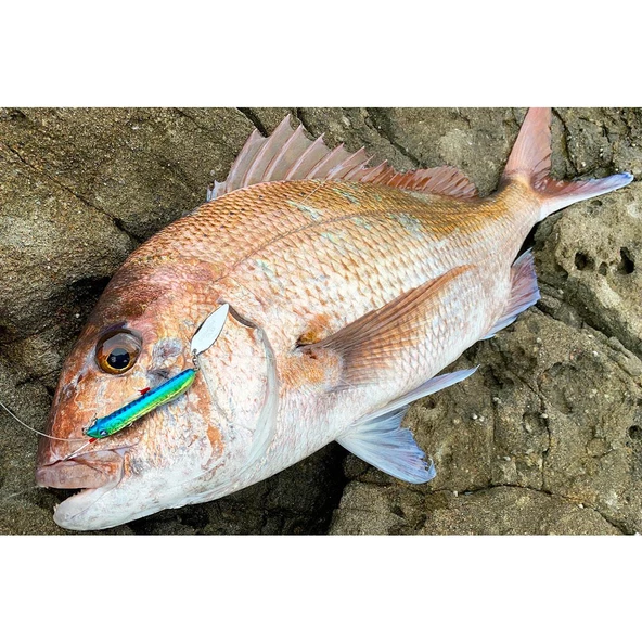 BlueBlue Metal Shalldus 6.7 CM 45G Kaşıklı Jig Yem  07 - Resim 2