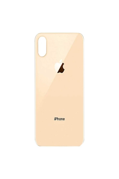 EMXTECH  İphone XS Max Arka Kapak Gold