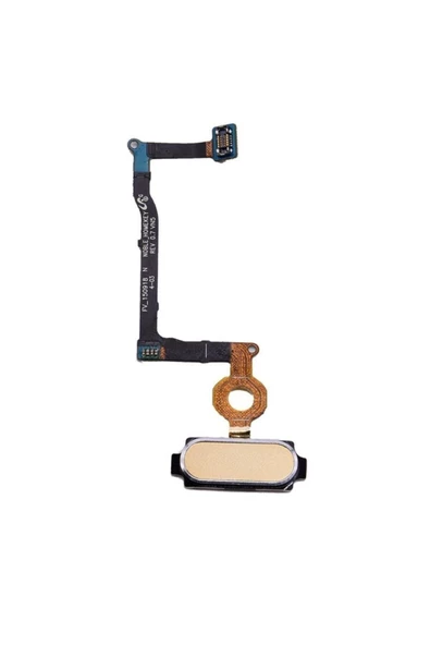 EMXTECH  Samsung Galaxy Note 5 N920 Uyumlu Home Tuş Bordu Filmi Gold