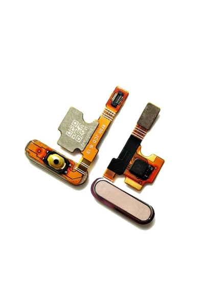 EMXTECH  Xiaomi Mi 5 Uyumlu Home Tuş Bordu Film Flex Gold