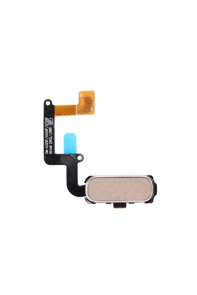 EMXTECH  Samsung Galaxy A520 Home Tuş Bordu Filmi Flex Gold