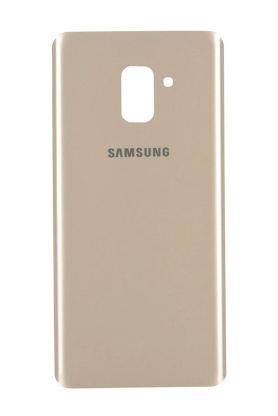 EMXTECH  Samsung Galaxy A8 Plus 2018 A730 Arka Kapak Gold