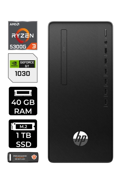 HP PRO TOWER 295 G9 E6D391EA538 R3 5300G 40GB RAM 1TB SSD GT1030 4GB W11H MASAÜSTÜ BİLGİSAYAR