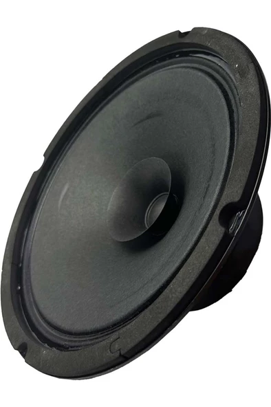 Lastvoice AYN-8 Full Kağıt 150 Watt 8 Ohm 20 cm 8 İnç Hoparlör (Adet) - 4