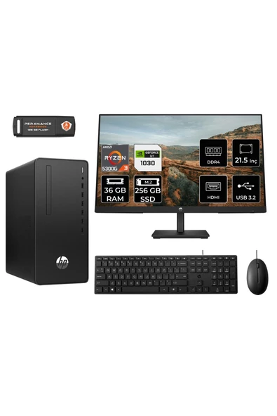 HP PRO TOWER 295 G9 MA13EAD481 R3 5300G 36GB RAM 256GB SSD GT1030 4GB 21.5" FDOS MASAÜSTÜ PC ürün görseli
