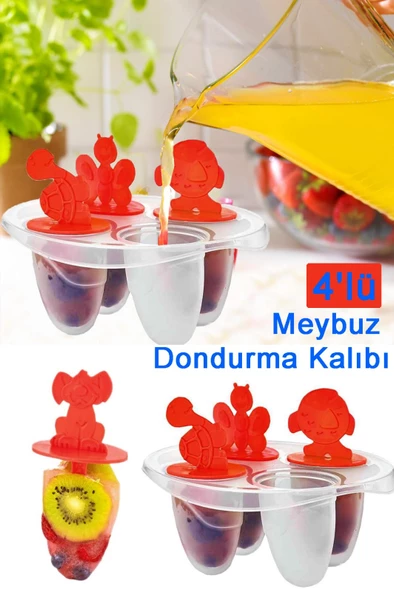 Dondurma Kalıbı Meybuz Yapma Kabı 4'lü