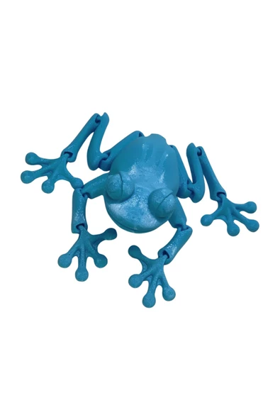 3d Hareketli Kurbağa Figürlü Oyuncak - Mavi - Resim 3