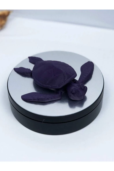 3d Hareketli Kaplumbağa Figürlü Oyuncak - Mor - Resim 2