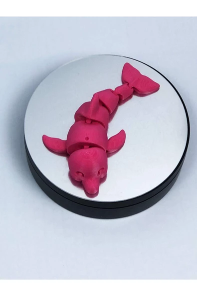 3d Hareketli Yunus Figürlü Oyuncak - Pembe - Resim 2