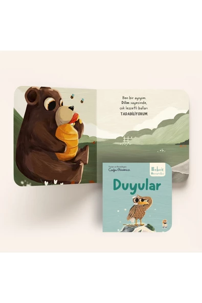 Bebek Üniversitesi 2- Hikayeli Ilk Kavramlarım Set - 8