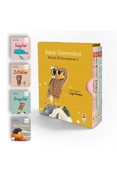 Bebek Üniversitesi 2 / Hikayeli Ilk Kavramlarım Set (4 Kitap)