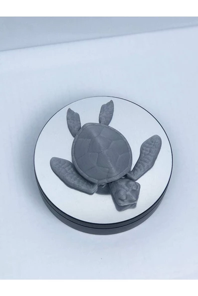 3d Hareketli Kaplumbağa Figürlü Oyuncak - Gri - Resim 4