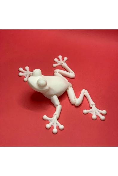 3d Hareketli Kurbağa Figürlü Oyuncak - Beyaz - Resim 3