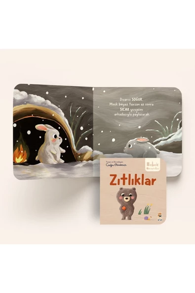 Bebek Üniversitesi 2- Hikayeli Ilk Kavramlarım Set - 6