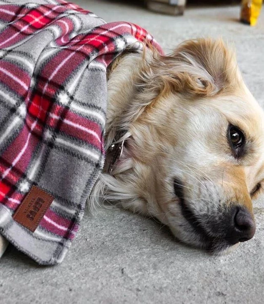 Lepus Kedi Köpek Battaniyesi Kırmızı - 3
