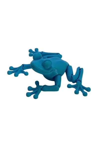 3d Hareketli Kurbağa Figürlü Oyuncak - Mavi ürün görseli 1