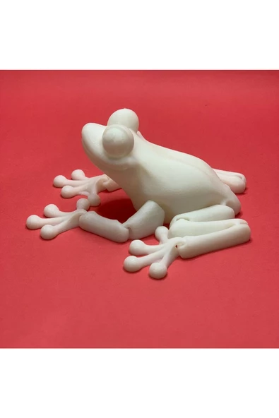 3d Hareketli Kurbağa Figürlü Oyuncak - Beyaz - Resim 4