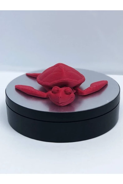 3d Hareketli Kaplumbağa Figürlü Oyuncak - Kırmızı - Resim 7
