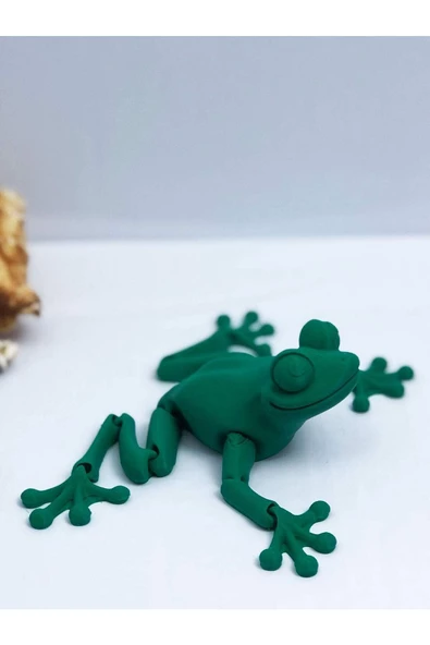 3d Hareketli Kurbağa Figürlü Oyuncak - Yeşil - 6