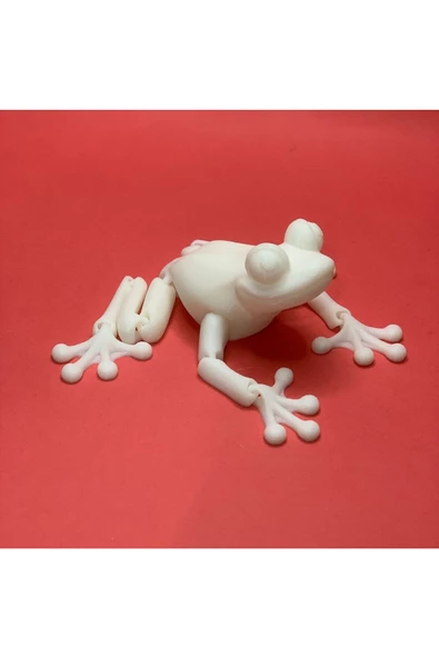 3d Hareketli Kurbağa Figürlü Oyuncak - Beyaz - Resim 2