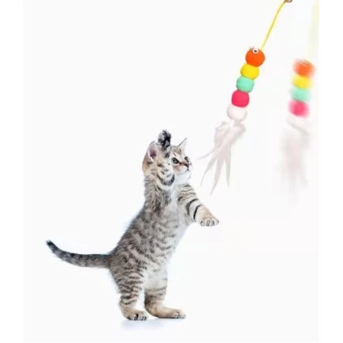 Elastik Yapışkanlı Kedi Oyun Oltası - 3