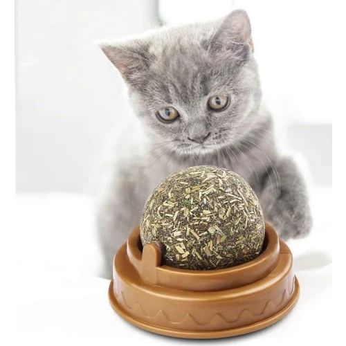 Kedi Nanesi Oyun Topu - 3