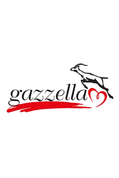 Gazella Süper Mini 2030 Buhar Jeneratörlü Ütü - 2
