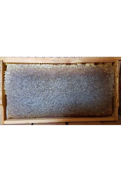 Poniba   Organik Saf Karakovan Petek Balı 3kg - 3