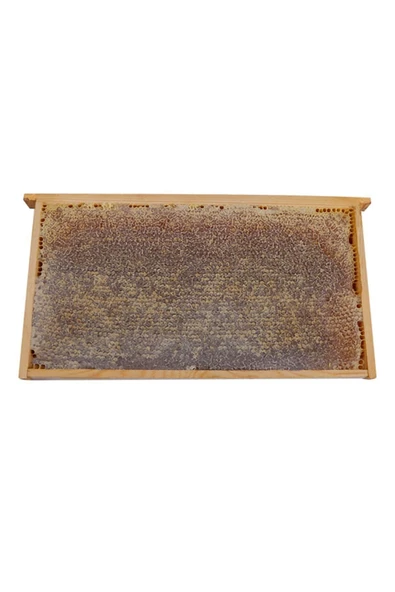 Poniba   Organik Saf Karakovan Petek Balı 2kg - Resim 2