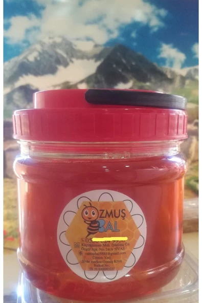 OZMUŞ BAL   Polifrolalı ( Çok Çiçekli ) Bal 1kg