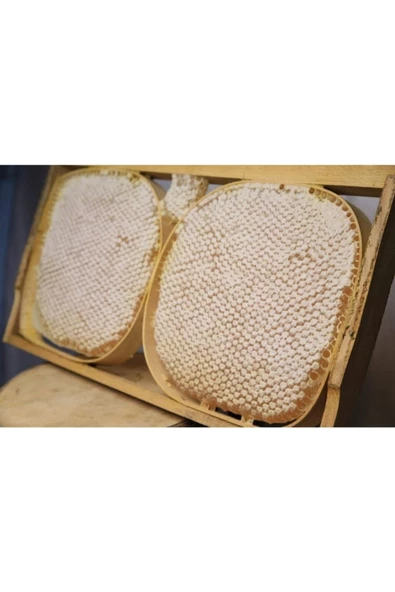 Poniba Organik Saf Karakovan Petek Balı 5 Kg - 2