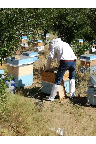 OZMUŞ BAL Çıta Bal 3,4kg - 2