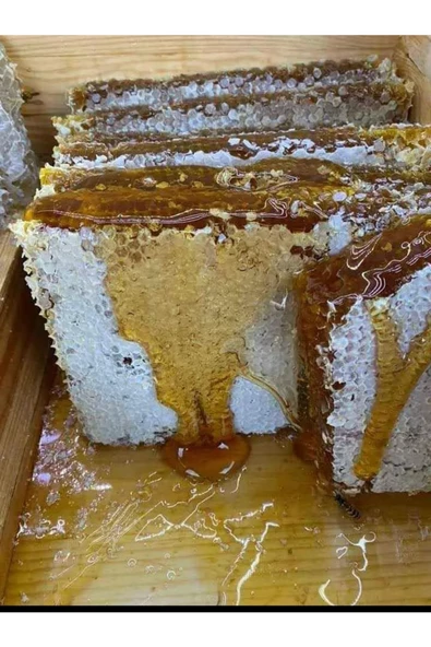 ALTIN DAMLA Zeytin ve Zeytinyağları Kara Kovan Bal 1kg - 2