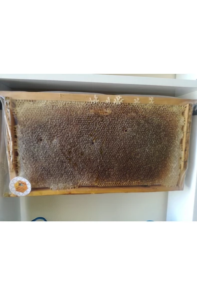 OZMUŞ BAL Ozmuş Petek Bal 2,8kg